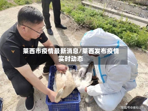 莱西市疫情最新消息/莱西发布疫情实时动态-第1张图片