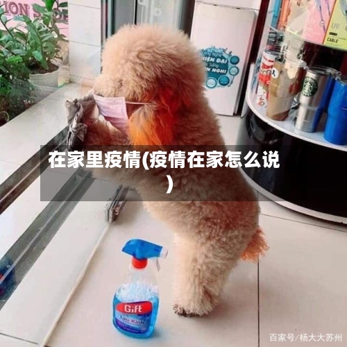 在家里疫情(疫情在家怎么说)-第1张图片