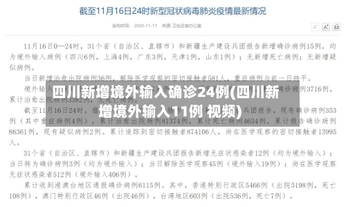 四川新增境外输入确诊24例(四川新增境外输入11例 视频)-第2张图片