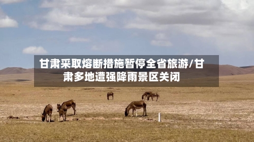 甘肃采取熔断措施暂停全省旅游/甘肃多地遭强降雨景区关闭-第2张图片