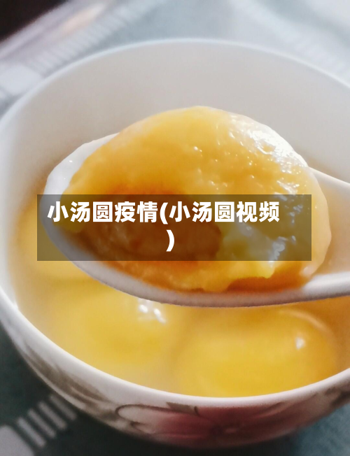 小汤圆疫情(小汤圆视频)-第1张图片