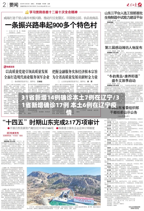 31省新增14例确诊本土7例在辽宁/31省新增确诊17例 本土6例在辽宁疫情-第1张图片