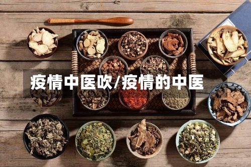 疫情中医吹/疫情的中医-第2张图片