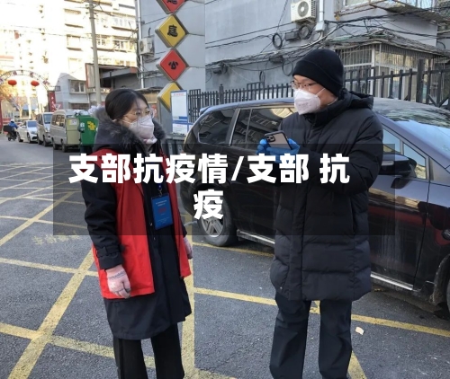 支部抗疫情/支部 抗疫-第2张图片