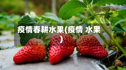 疫情春耕水果(疫情 水果)-第1张图片