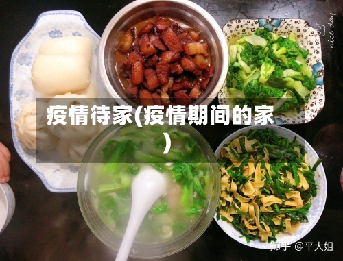 疫情待家(疫情期间的家)-第3张图片