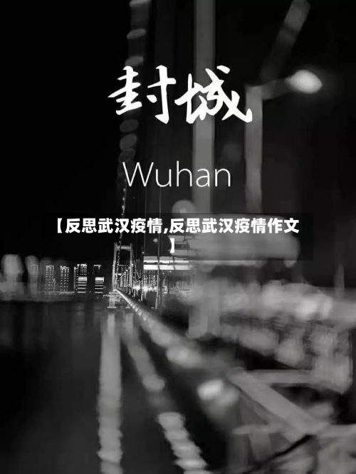 【反思武汉疫情,反思武汉疫情作文】-第2张图片