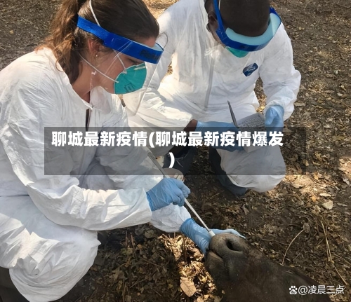 聊城最新疫情(聊城最新疫情爆发)-第1张图片