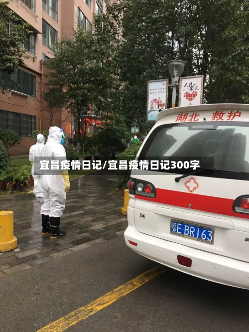宜昌疫情日记/宜昌疫情日记300字-第1张图片