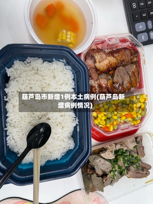 葫芦岛市新增1例本土病例(葫芦岛新增病例情况)-第1张图片