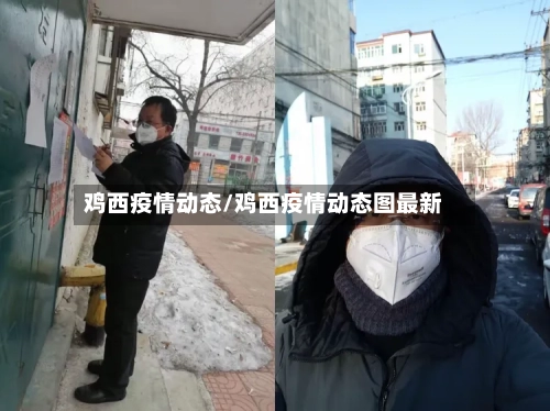 鸡西疫情动态/鸡西疫情动态图最新-第2张图片