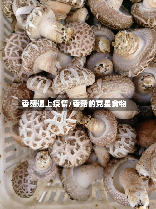 香菇遇上疫情/香菇的克星食物-第1张图片