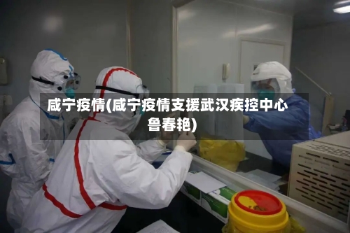 咸宁疫情(咸宁疫情支援武汉疾控中心鲁春艳)-第1张图片