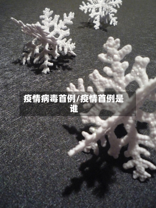 疫情病毒首例/疫情首例是谁-第2张图片