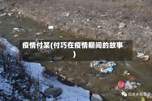 疫情付某(付巧在疫情期间的故事)-第1张图片