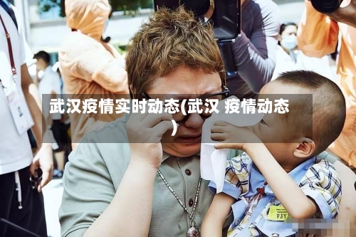 武汉疫情实时动态(武汉 疫情动态)-第1张图片